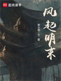 《风起明末》封面