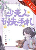 《少夫人训夫手札》封面