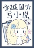 《穿越国外写小说》封面