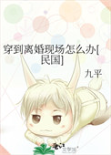 《穿到离婚现场怎么办[民国]》封面