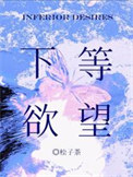 《下等欲望》封面