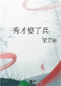 《秀才娶了兵》封面