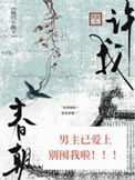 《许我春朝》封面