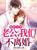 《重回九零：老公，我们不离婚》封面