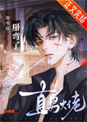 《穿书后掰弯了直男大佬》封面