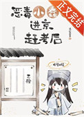 《恶毒小蠢货进京赶考后》封面