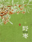 《野枣》封面