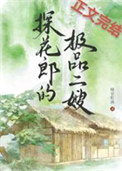《探花郎的极品二嫂》封面
