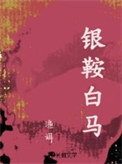 《银鞍白马》封面