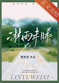 《淋雨未晞》封面
