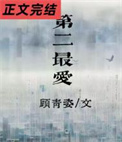 《第二最爱》封面