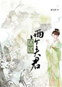 《区区两个夫君》封面