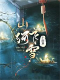 《山河飞雪》封面