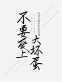 《不要爱上大坏蛋》封面