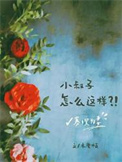 《寡嫂为妻》封面