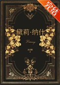 《十九世纪百货公主》封面