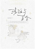 《琥珀与百合》封面
