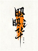 《昭昭之华》封面