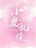 《小鹿乱撞》封面