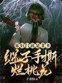 《寡妇门前是非多，继子手撕烂桃花》封面