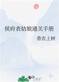 《侯府表姑娘通关手册》封面