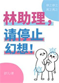 《林助理，请停止幻想！》封面