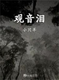 《观音泪》封面