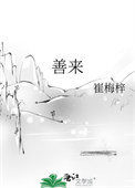 《善来》封面