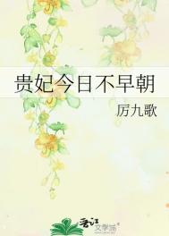 《贵妃今日不早朝》封面