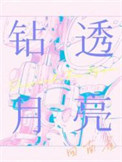 《钻透月亮》封面