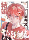 《结婚冷静系统》封面