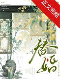 《替婚》封面