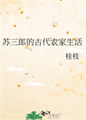 《苏三郎的古代农家生活》封面