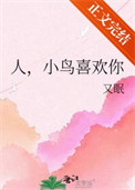 《人，小鸟喜欢你》封面