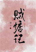 《贼惦记》封面