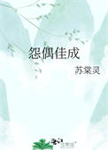 《怨偶佳成》封面