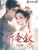 《折金钗》封面