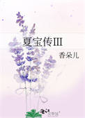 《夏宝传Ⅲ》封面
