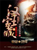 《汉王宝藏》封面
