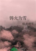 《铸火为雪》封面