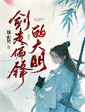 《剑走偏锋的大明》封面