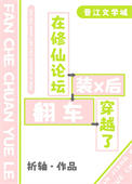 《在修仙论坛装x后穿越了》封面
