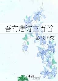 《吾有唐诗三百首》封面
