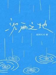 《沉雨之地》封面