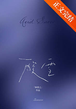 《酸雪》封面