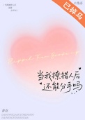 《当我撩错人后还能分手吗》封面