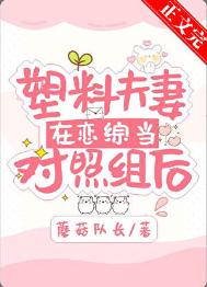 《塑料夫妻在恋综当对照组后》封面