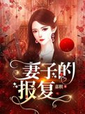 《妻子的报复》封面