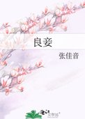 《良妾》封面