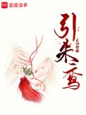 《引朱鸾》封面